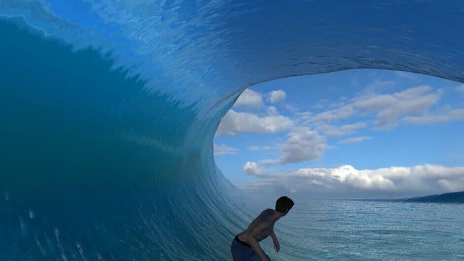 Скриншот 1 из Virtual Surfing