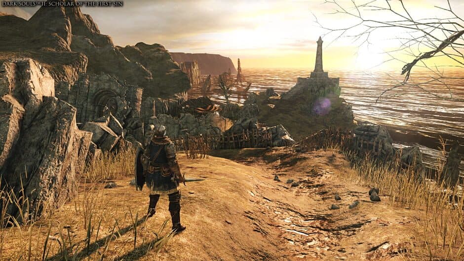 Скриншот 2 из Dark Souls Trilogy