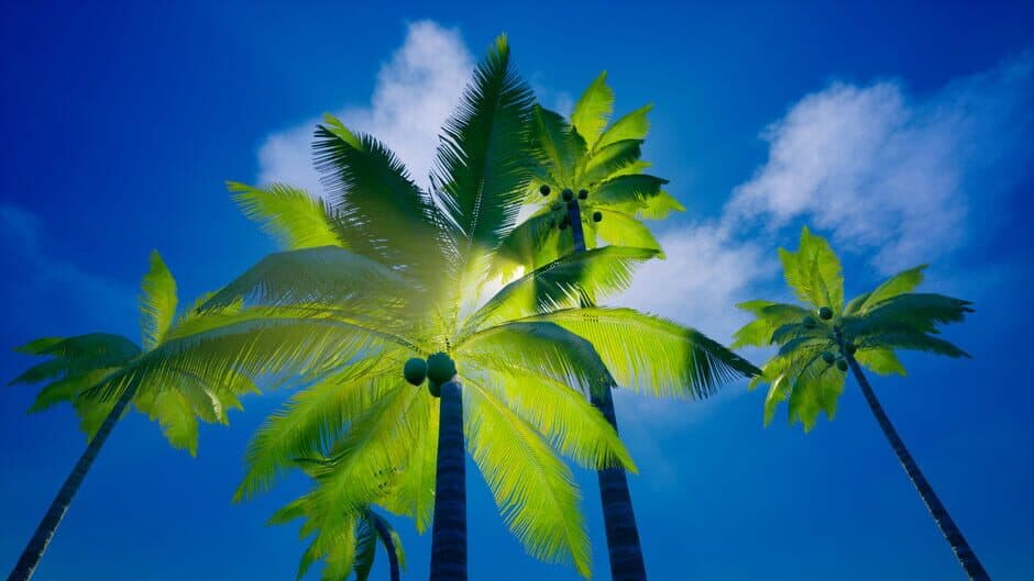 Скриншот 9 из My Island