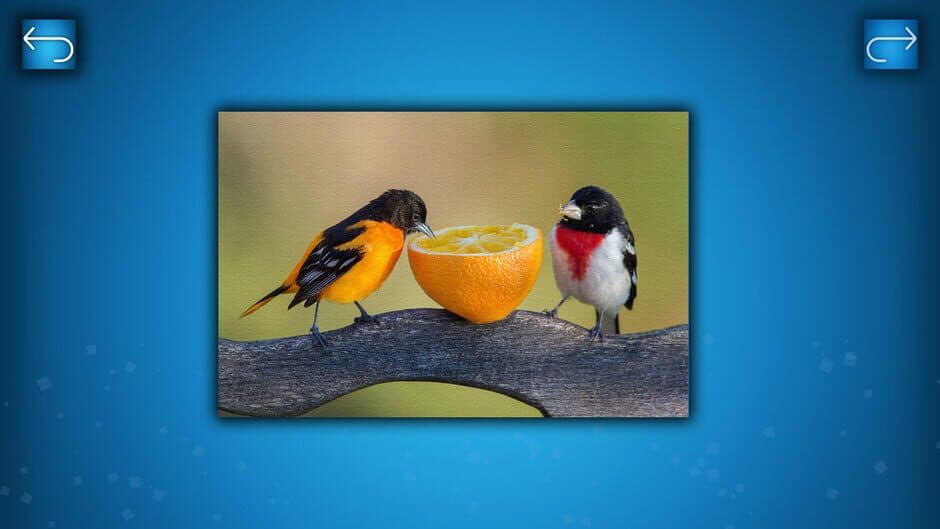 Скриншот 4 из Puzzle: Birds