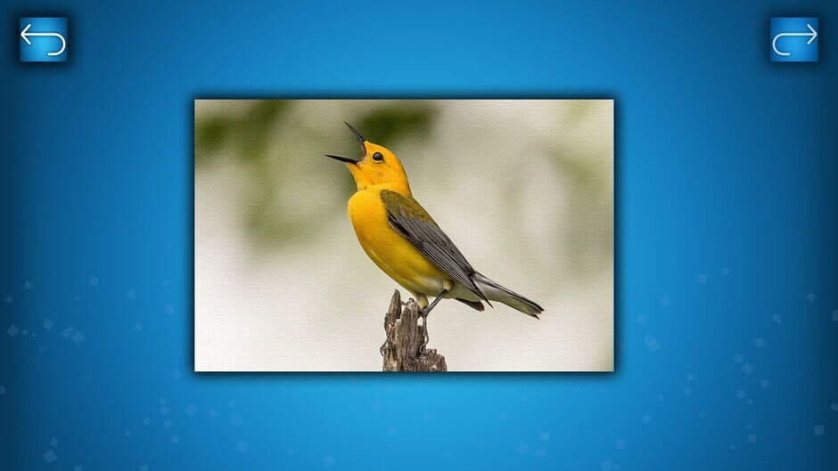 Скриншот 3 из Puzzle: Birds