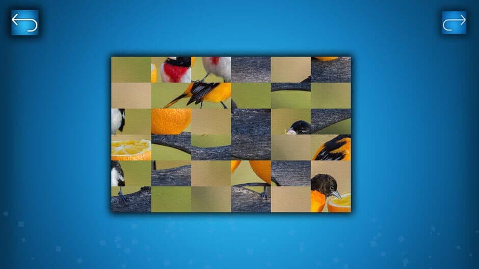 Скриншот 5 из Puzzle: Birds