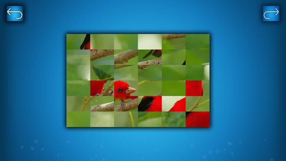 Скриншот 1 из Puzzle: Birds