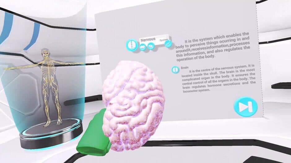 Скриншот 1 из VRLab Academy: Anatomy VR