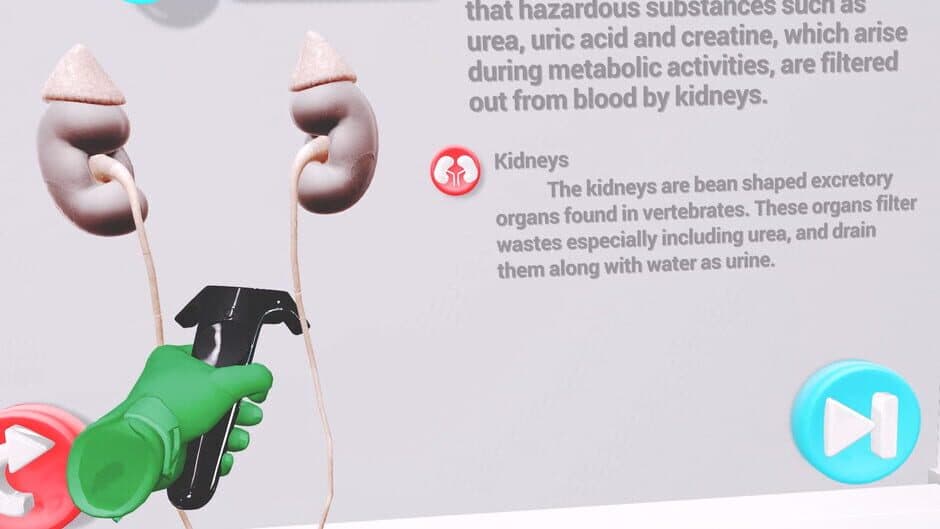 Скриншот 4 из VRLab Academy: Anatomy VR
