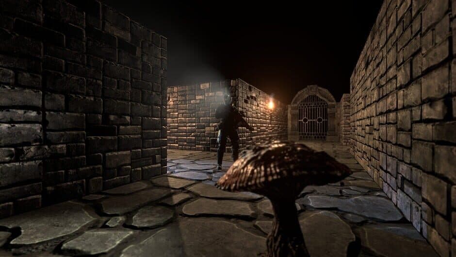 Скриншот 8 из The Dungeon Paradox