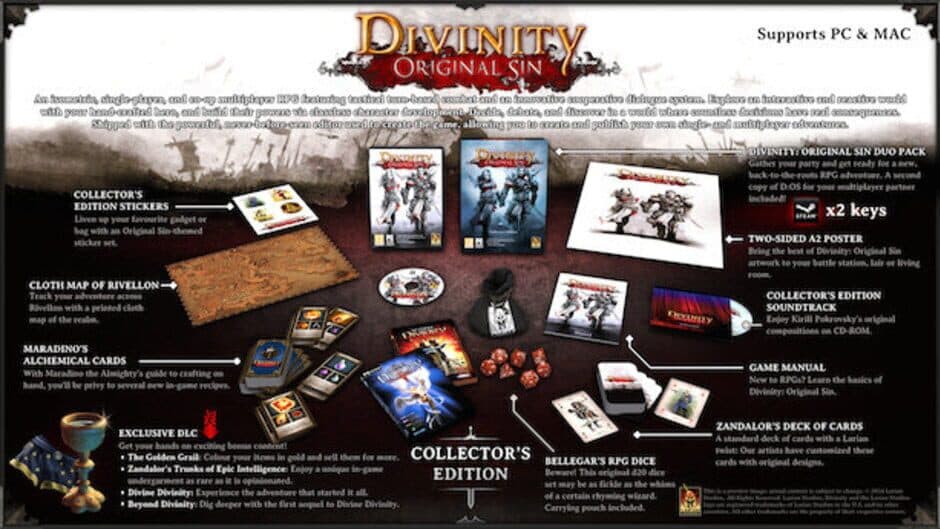 Скриншот 1 из Divinity: Original Sin - Collector's Edition