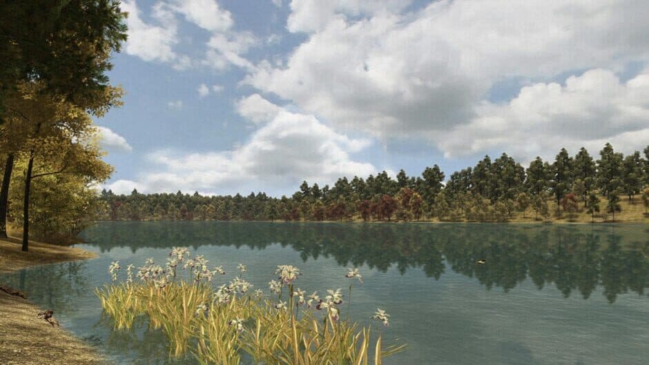 Скриншот 5 из Walden, a game