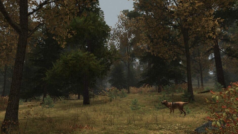Скриншот 10 из Walden, a game