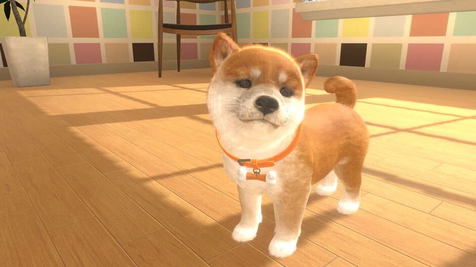 Скриншот 5 из Little Friends: Dogs & Cats