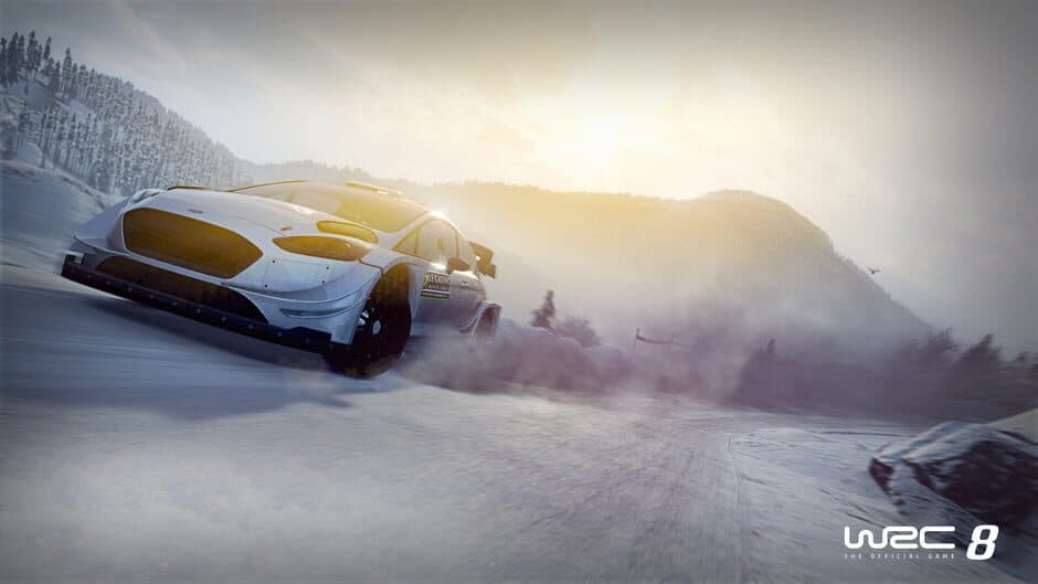 Скриншот 3 из WRC 8