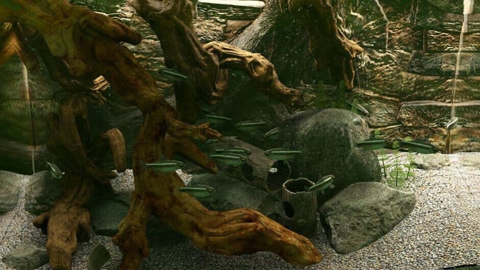Скриншот 3 из Biotope: Aquarium Simulator