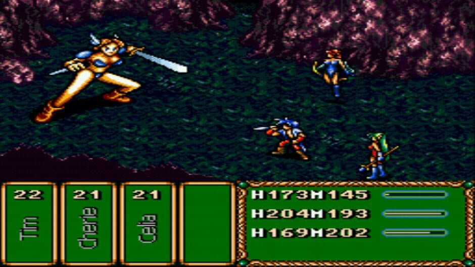 Скриншот 4 из Brave Battle Saga: Legend of the Magic Warrior