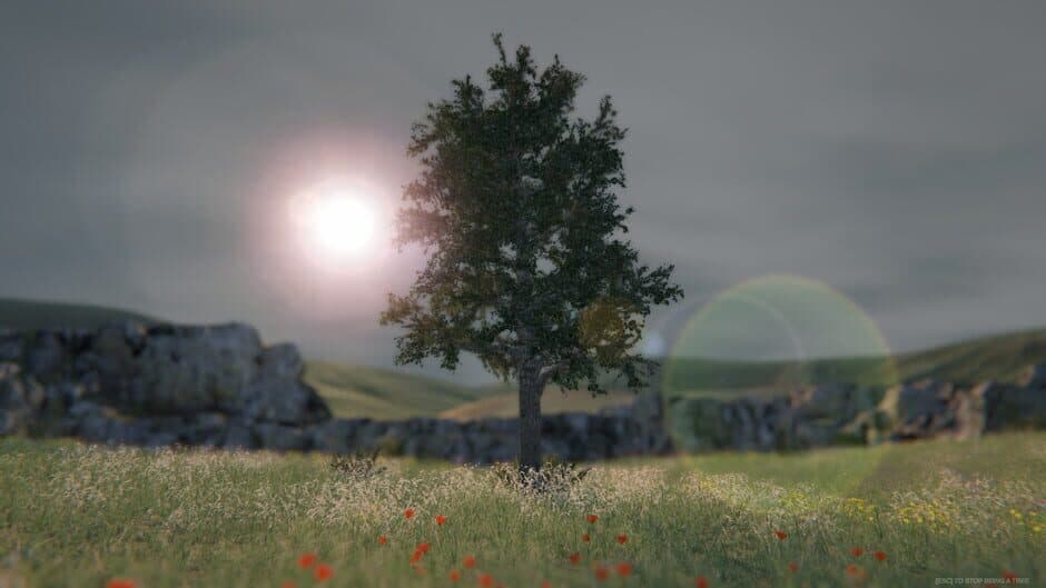 Скриншот 1 из Tree Simulator 2020