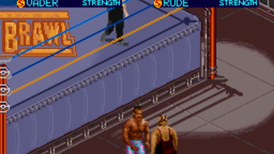 Скриншот 2 из WCW SuperBrawl Wrestling