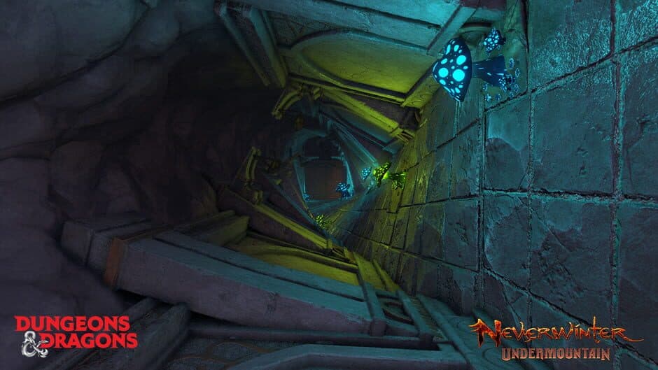 Скриншот 3 из Neverwinter: Undermountain