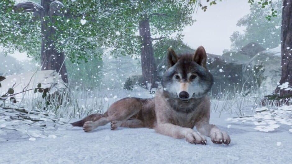 Скриншот 8 из Planet Zoo