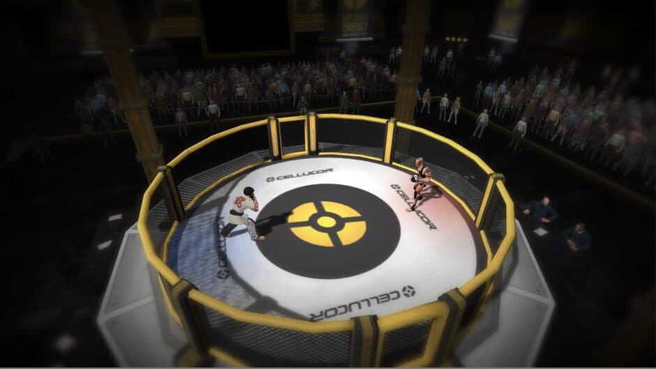 Скриншот 4 из MMA Arena