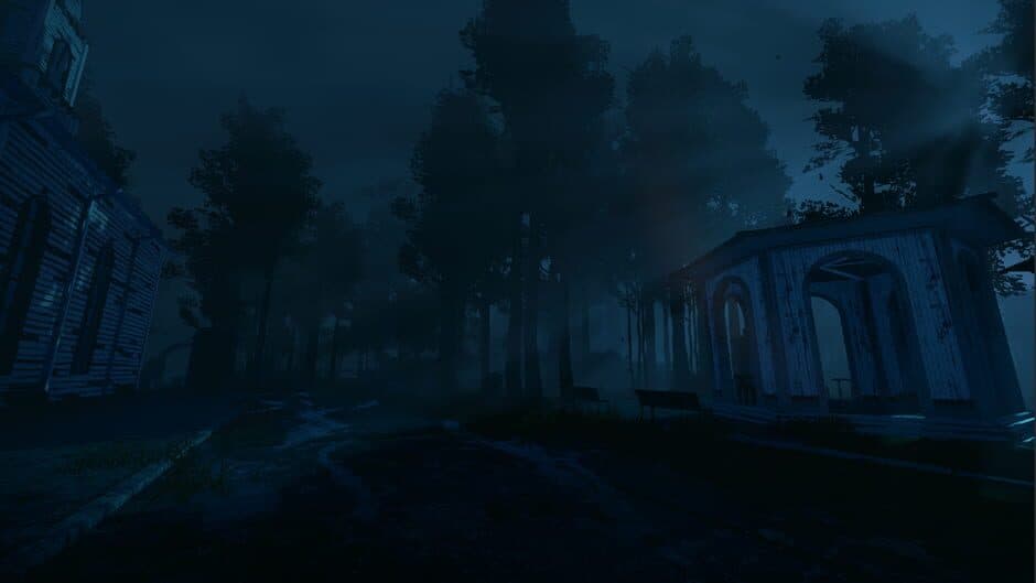Скриншот 4 из Nightwalk