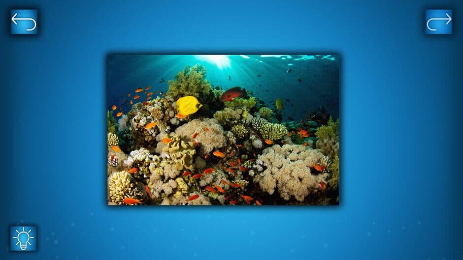 Скриншот 1 из Puzzle: Ocean
