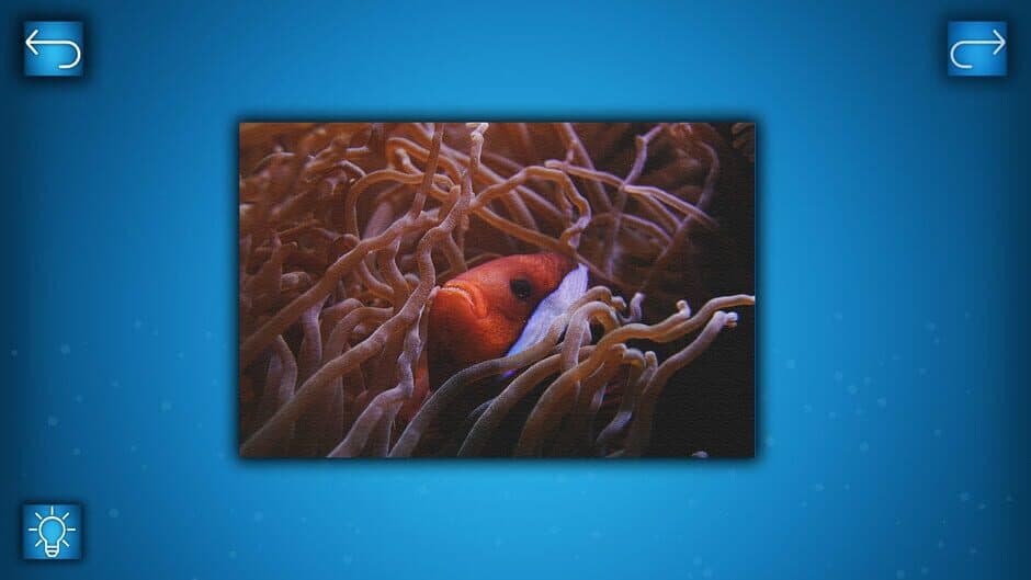 Скриншот 5 из Puzzle: Ocean