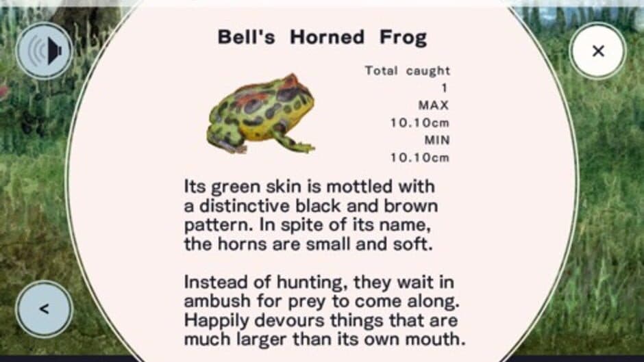 Скриншот 1 из Frog Minutes