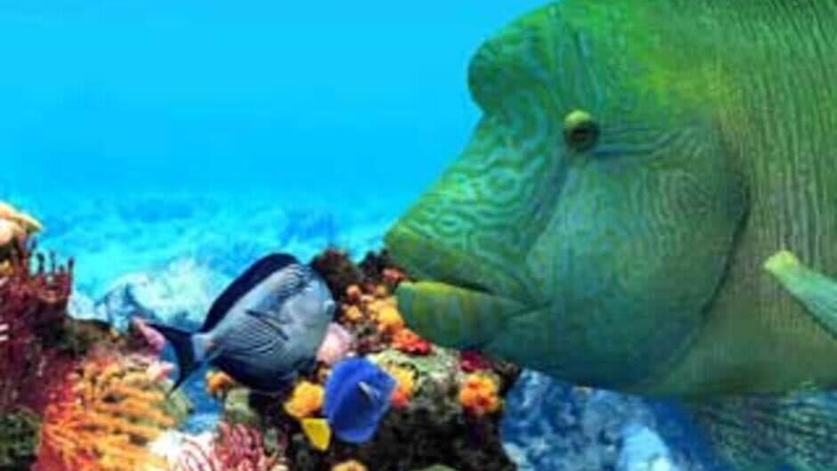 Скриншот 3 из Fish Life