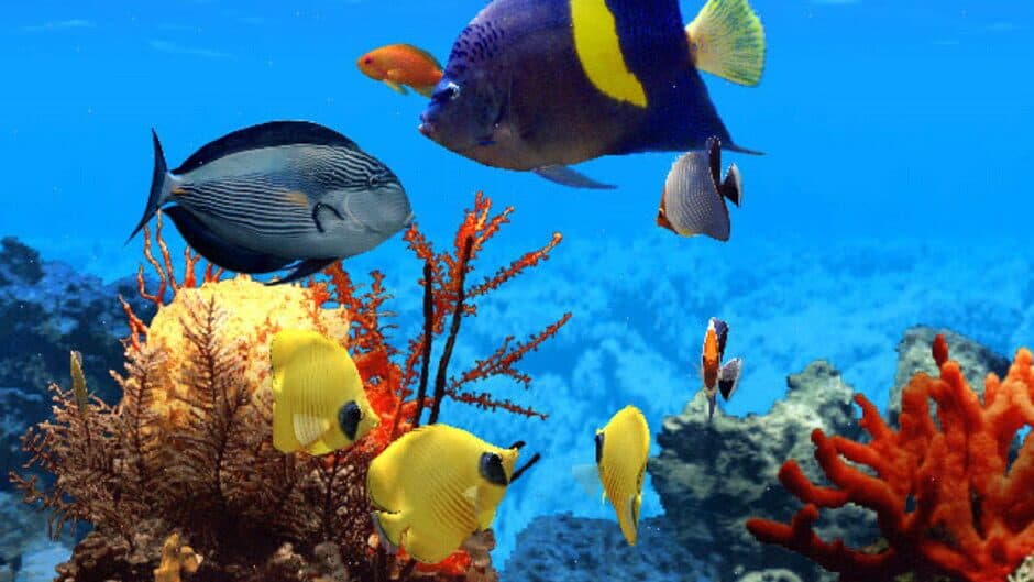 Скриншот 1 из Fish Life