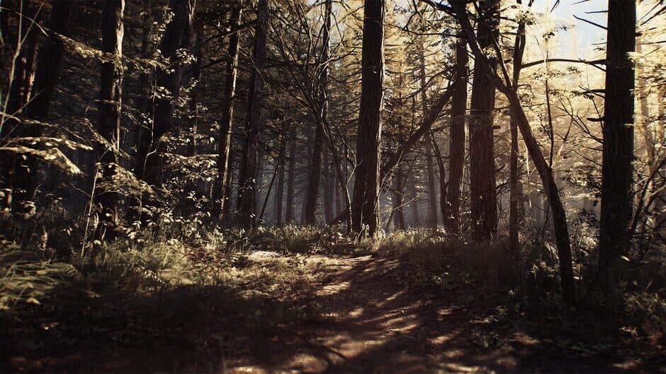 Скриншот 1 из Blair Witch