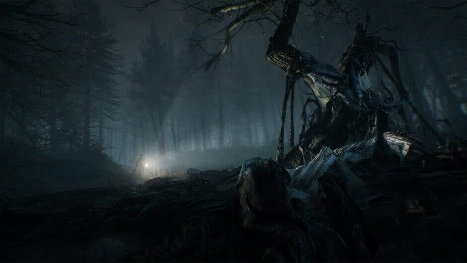 Скриншот 5 из Blair Witch