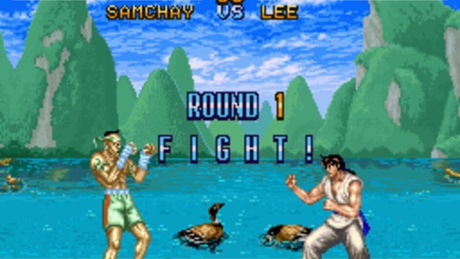 Скриншот 3 из Fighter's History