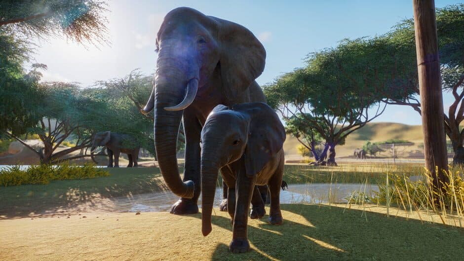 Скриншот 5 из Planet Zoo