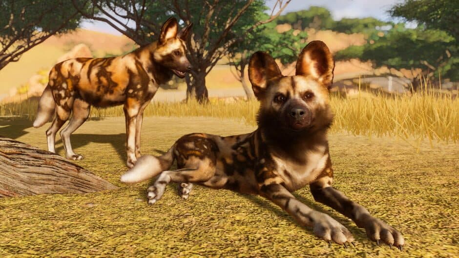 Скриншот 10 из Planet Zoo
