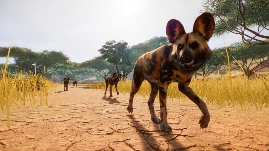 Скриншот 1 из Planet Zoo