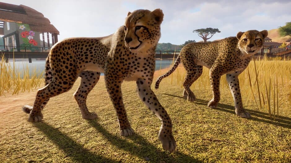 Скриншот 4 из Planet Zoo
