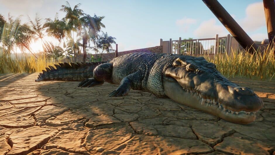 Скриншот 11 из Planet Zoo