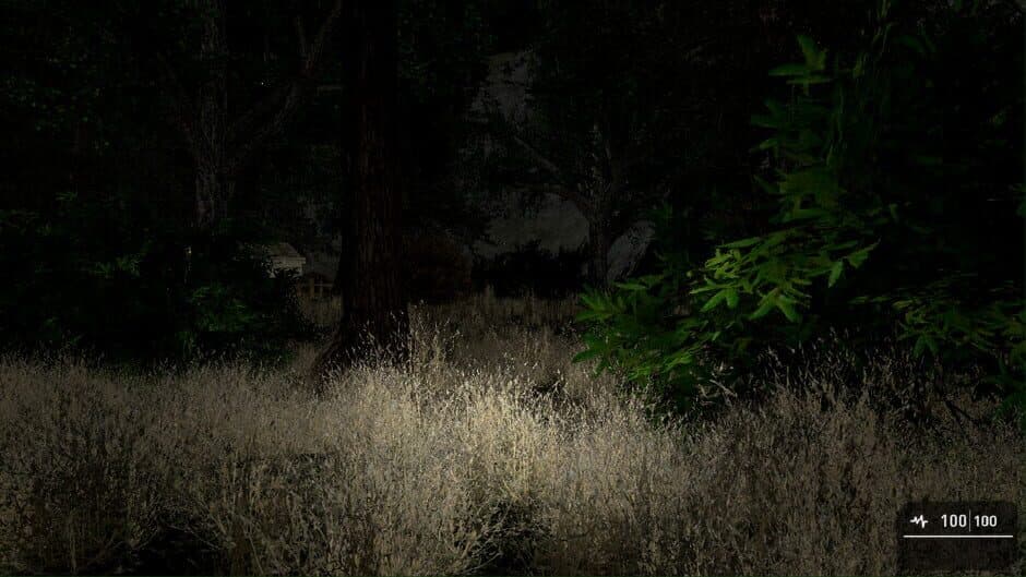 Скриншот 4 из The Ritual