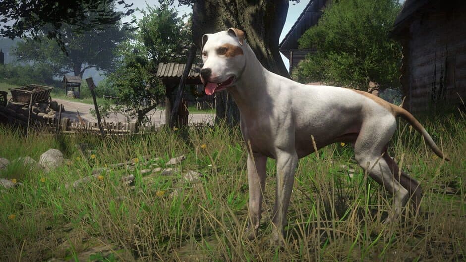 Скриншот 3 из Kingdom Come: Deliverance - A Woman's Lot