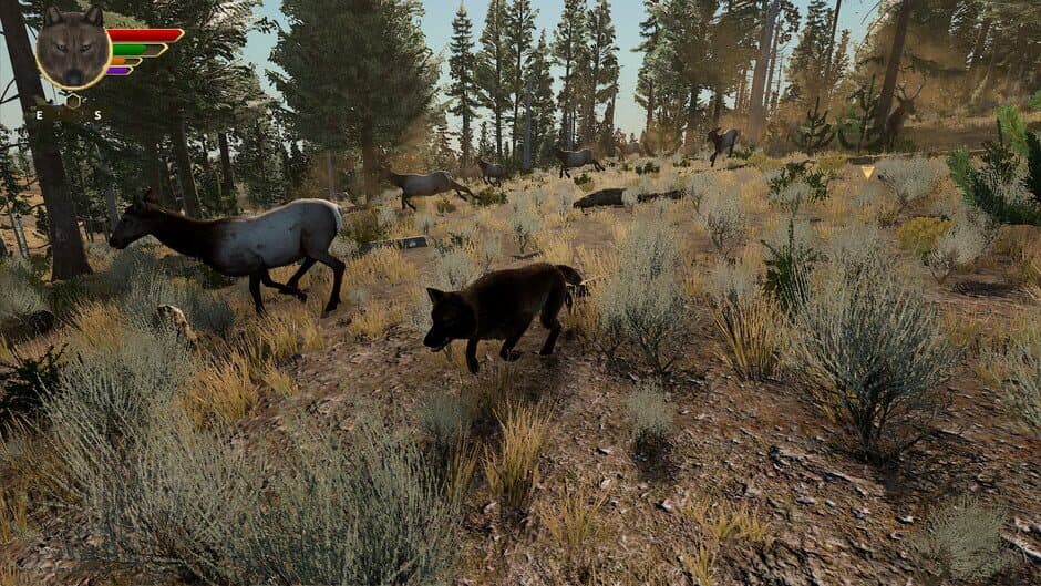 Скриншот 5 из WolfQuest: Anniversary Edition