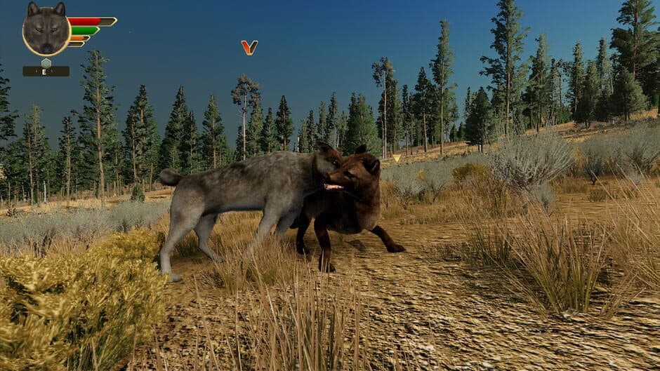 Скриншот 1 из WolfQuest: Anniversary Edition