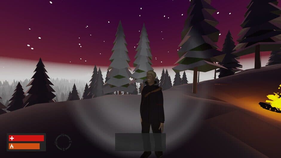 Скриншот 6 из True North