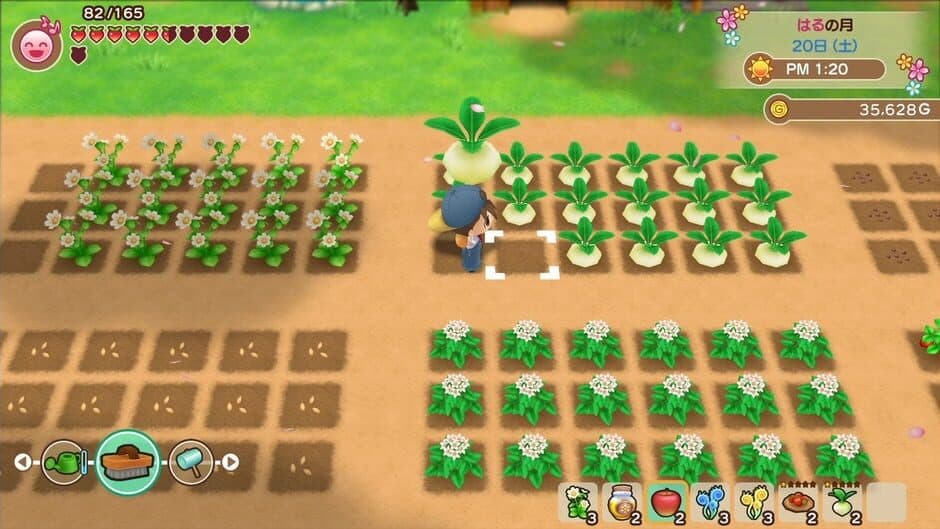 Скриншот 2 из Story of Seasons: Friends of Mineral Town