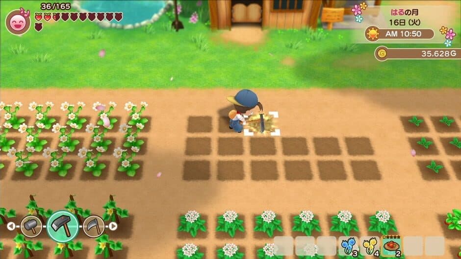 Скриншот 4 из Story of Seasons: Friends of Mineral Town