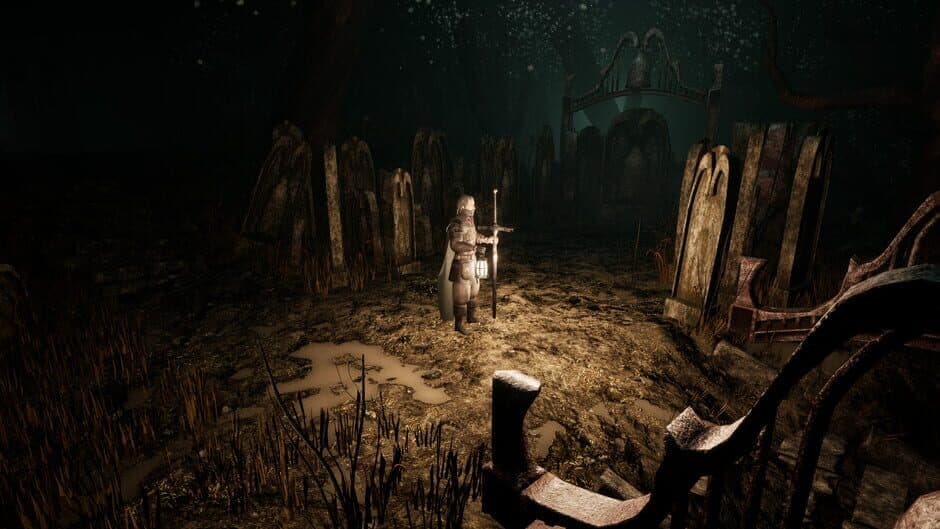 Скриншот 4 из The Dark Veil: West Haven