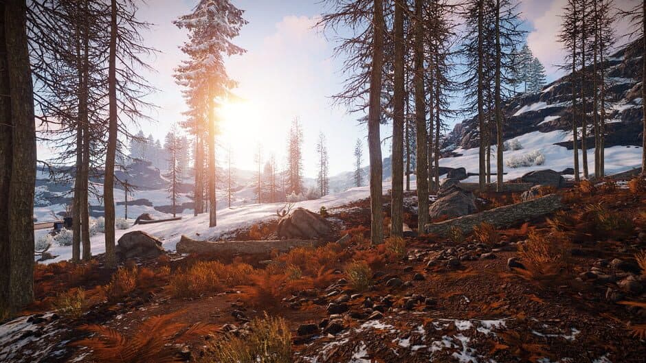 Скриншот 6 из Rust
