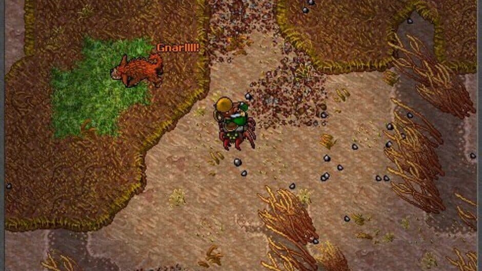 Скриншот 8 из Tibia
