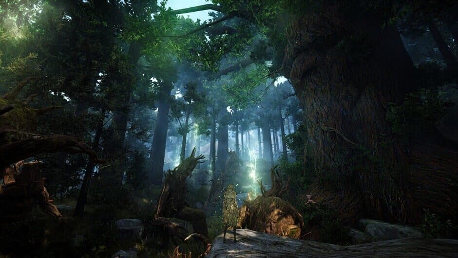 Скриншот 3 из Black Desert