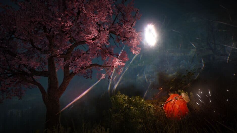 Скриншот 4 из Black Desert