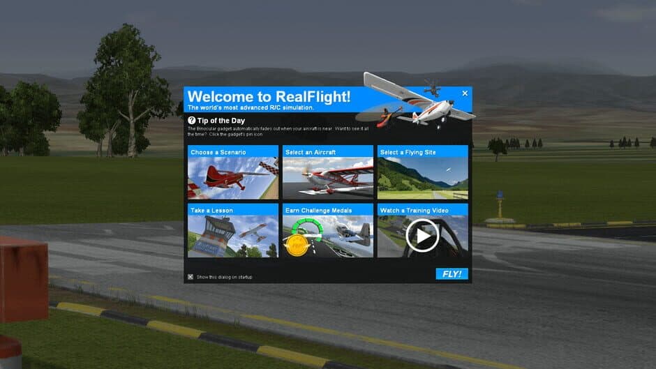 Скриншот 2 из RealFlight 9