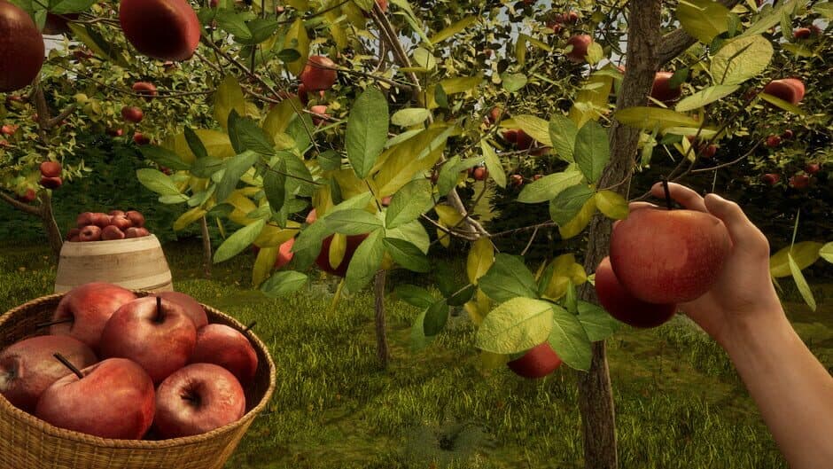 Скриншот 4 из Orchard Simulator